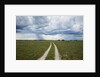 Sand road and thunderstorm, Botswana by Anonymous