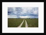 Sand road and thunderstorm, Botswana by Anonymous