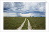 Sand road and thunderstorm, Botswana by Anonymous