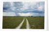 Sand road and thunderstorm, Botswana by Anonymous