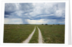 Sand road and thunderstorm, Botswana by Anonymous
