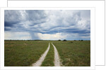 Sand road and thunderstorm, Botswana by Anonymous