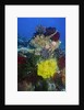 Coral reef with Feather Stars by Anonymous