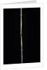 Chimonobambusa marmorea (marble bamboo) by Anonymous