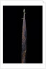 Phyllostachys iridescens (bamboo) - shoot by Anonymous