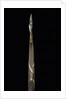 Phyllostachys propinqua (sand bamboo) - shoot by Anonymous
