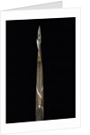 Phyllostachys propinqua (sand bamboo) - shoot by Anonymous