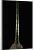 Phyllostachys pubescens (Moso bamboo) by Anonymous