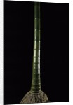 Phyllostachys pubescens (Moso bamboo) by Anonymous