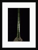 Phyllostachys pubescens (Moso bamboo) by Anonymous