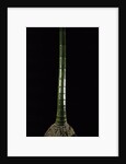 Phyllostachys pubescens (Moso bamboo) by Anonymous