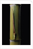 Phyllostachys pubescens 'Bicolor' (mosochiku bamboo) - joung culm by Anonymous
