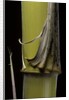 Phyllostachys pubescens 'Bicolor' (mosochiku bamboo) - joung culm by Anonymous