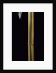 Phyllostachys viridis 'Sulfurea' (bamboo) by Anonymous