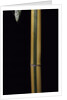 Phyllostachys viridis 'Sulfurea' (bamboo) by Anonymous