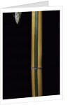 Phyllostachys viridis 'Sulfurea' (bamboo) by Anonymous