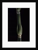 Pseudosasa japonica var. tsutsumiana (arrow bamboo) by Anonymous