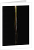Semiarundinaria fastuosa (narihira bamboo) by Anonymous