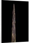 Bambusa tuldoides (punting pole bamboo) - shoot by Anonymous