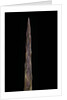 Bambusa tuldoides (punting pole bamboo) - shoot by Anonymous