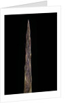 Bambusa tuldoides (punting pole bamboo) - shoot by Anonymous