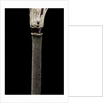 Yushania maling (Maling bamboo) by Anonymous