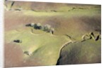 Aerial view of a dried up stream in Santa Ynez, California by Anonymous