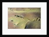 Aerial view of a dried up stream in Santa Ynez, California by Anonymous