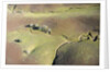 Aerial view of a dried up stream in Santa Ynez, California by Anonymous