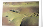 Aerial view of a dried up stream in Santa Ynez, California by Anonymous