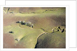 Aerial view of a dried up stream in Santa Ynez, California by Anonymous