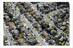 Aerial view of homes in Oxnard, California by Anonymous