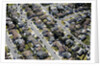 Aerial view of homes in Oxnard, California by Anonymous