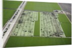 Aerial view of a working farm in Oxnard, California by Anonymous