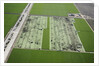 Aerial view of a working farm in Oxnard, California by Anonymous