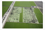 Aerial view of a working farm in Oxnard, California by Anonymous