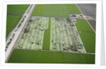 Aerial view of a working farm in Oxnard, California by Anonymous
