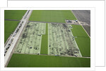 Aerial view of a working farm in Oxnard, California by Anonymous