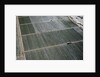 Aerial view of a working farm in Oxnard, California by Anonymous