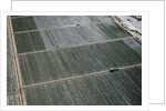 Aerial view of a working farm in Oxnard, California by Anonymous