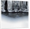 Ice creates strange scupltures, Alpi Carniche, Friuli-Venezia Giulia, Carnia , Italy, Italia by Anonymous