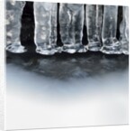 Ice creates strange scupltures, Alpi Carniche, Friuli-Venezia Giulia, Carnia , Italy, Italia by Anonymous