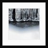 Ice creates strange scupltures, Alpi Carniche, Friuli-Venezia Giulia, Carnia , Italy, Italia by Anonymous