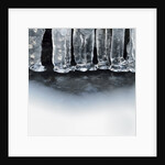 Ice creates strange scupltures, Alpi Carniche, Friuli-Venezia Giulia, Carnia , Italy, Italia by Anonymous