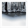 Ice creates strange scupltures, Alpi Carniche, Friuli-Venezia Giulia, Carnia , Italy, Italia by Anonymous