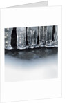 Ice creates strange scupltures, Alpi Carniche, Friuli-Venezia Giulia, Carnia , Italy, Italia by Anonymous