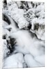 Mountain stream flowing beneath a blanket of ice, Alpi Carniche , Friuli-Venezia Giulia, Carnia by Anonymous