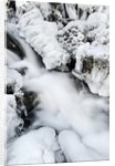 Mountain stream flowing beneath a blanket of ice, Alpi Carniche , Friuli-Venezia Giulia, Carnia by Anonymous