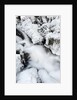 Mountain stream flowing beneath a blanket of ice, Alpi Carniche , Friuli-Venezia Giulia, Carnia by Anonymous