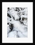 Mountain stream flowing beneath a blanket of ice, Alpi Carniche , Friuli-Venezia Giulia, Carnia by Anonymous